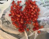Une image de l'étape 4 de Salade de fruits du jardin.