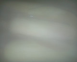 A picture of step 2 of Cooked Corn (Maize).