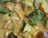 Foto langkah ke 3 dari resep Gulai sayur ala padang(fiber creme).