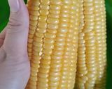 Foto langkah ke 1 dari resep Puding jagung rumput laut.