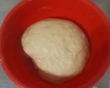 Foto del paso 3 de la receta: Pan dulce navideño FÁCIL