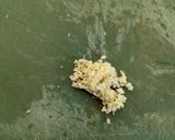 媽媽的涼麵的食譜步驟3照片