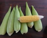 A picture of step 1 of Sweetcorn Masalla#15 minutes or less cooking contest.