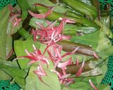 Foto langkah ke 1 dari resep Cah Genjer dengan Combrang.