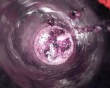 A picture of step 2 of Black Currant summer cooler juice.