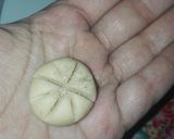 عکس مرحله 2 از دستور شیرینی قندی
