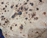 A picture of step 10 of Chapati.