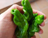 Foto del paso 1 de la receta: Aceite de pimiento "pene"