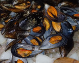 Foto del paso 4 de la receta: Fideuà