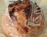 Foto langkah ke 14 dari resep Spekuk Craisin Sourdough Bread.