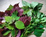 Hình bước làm 4 của món Bánh khọt - Nước tía tô