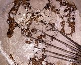 Foto langkah ke 3 dari resep Eggless Choco Cupcake (No Mixer).