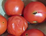 টমেটো চাটনি (tomato chatni recipe in Bengali) রেসিপি ধাপ - 1 ছবি