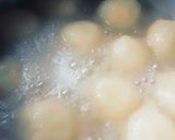 A picture of step 4 of Bhaat Rasgulla (Steamed Rice Rasgulla).