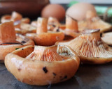 Foto del paso 1 de la receta: Níscalos con ajos tiernos