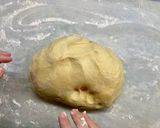 A picture of step 12 of Traditional Panettone.