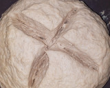 Foto del paso 6 de la receta: Pan de gofio con miel