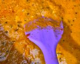 मटर कैप्सिकम करी विथ मक्का पूरी (Green Peas Capsicum Curry with Makka Poori) रेसिपी चरण 6 फोटो