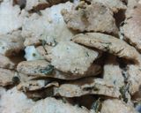 મેથીના ખારા સકરપારા (Methi Khara Shakkarpara Recipe In Gujarati) રેસીપી સ્ટેપ3ફોટો