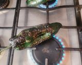 Foto del paso 1 de la receta: Chiles Rellenos