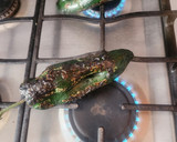 Foto del paso 1 de la receta: Chiles Rellenos