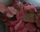 Foto langkah ke 2 dari resep Keripik bayam merah.