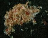 Foto langkah ke 4 dari resep Lotek Matang.