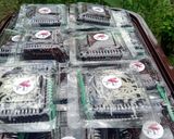 Foto langkah ke 6 dari resep Brownies ekonomis versi bocil.