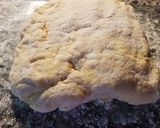 Foto del paso 6 de la receta: Bizcochos sin gluten