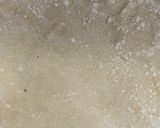 A picture of step 2 of Homemade Roti or Phulka.