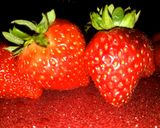 Foto del passaggio 1 della ricetta Liquore vov alle fragole