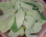 Foto langkah ke 1 dari resep Tahu Dasi (Daun Singkong).