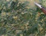 Foto langkah ke 4 dari resep Gulai daun singkong ala emak.