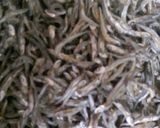 蘿蔔乾辣炒小魚的食譜步驟1照片