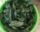 A picture of step 5 of Amala.