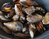 Foto del paso 1 de la receta: Mejillones en salsa picante