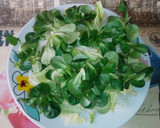 Foto del paso 3 de la receta: Ensalada de pollo con salsa de mango