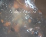 Foto langkah ke 9 dari resep Sop Manten Khas Solo ala Violet Azalea.