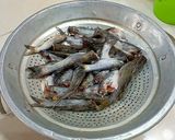 Foto langkah ke 1 dari resep Masak Ikan Lundu (kating/keting).