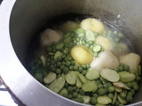 Capchi de Habas