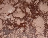 Foto langkah ke 1 dari resep Es Lumut Coklat.