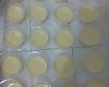 Foto langkah ke 3 dari resep Puding susu berlapis.