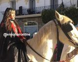 صورة لخطوة 12 من وصفة الرشتة الجزائرية