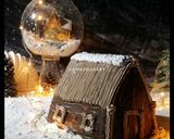 A picture of step 13 of Snow village cake.