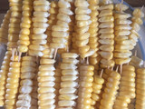 Elote frito para botanear