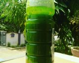 कच्चा आम मिंट पन्ना, (कंसन्ट्रेट) रेसिपी चरण 4 फोटो