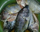 Foto langkah ke 1 dari resep Pesmol Ikan Mujair.