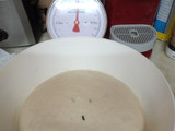 Mi focaccia