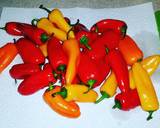 Sweet Mini Poppers recipe step 1 photo