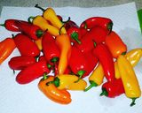 A picture of step 1 of Sweet Mini Poppers.